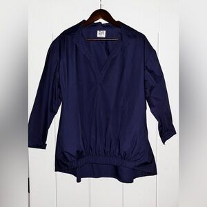 Planet By Lauren G Classic Popover Long Sleeve V-Neck Tunic Blouse Women 2X‎